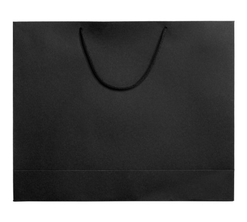 Пакет бумажный Ample Plus L, черный