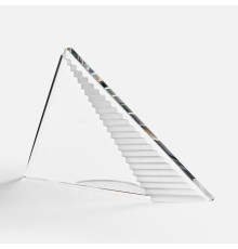 Стела Success Steps