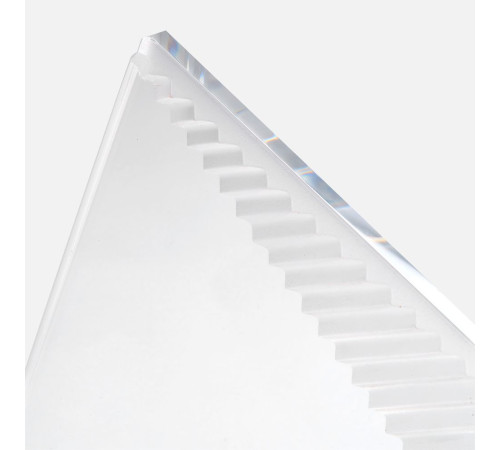 Стела Success Steps