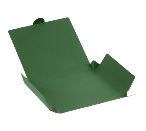 Коробка самосборная Flacky, зеленая