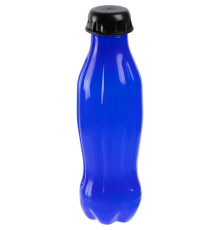 Бутылка для воды Coola, синяя