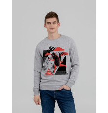 Свитшот «Преодолень», серый меланж