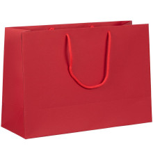 Пакет бумажный Ample Plus M, красный