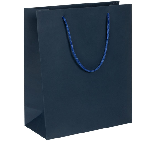Пакет бумажный Vid L, синий