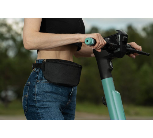 Поясная сумка Handy Dandy, черная