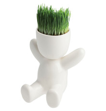 Набор для выращивания Funky Kid