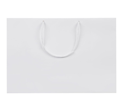 Пакет бумажный Ample Plus M, белый